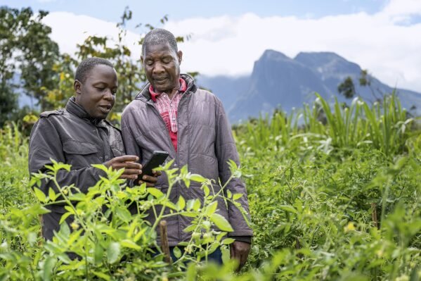 How a Simple Chatbot Is Helping Malawi Farmers Grow More Food and Fight Climate Change