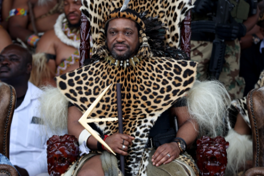 Zulu King Challenges Professor to Stick Fight After Palace Criticism